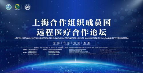 数字丝路，健康同行 中国数字化医疗技术助力“一带一路”医疗事业发展